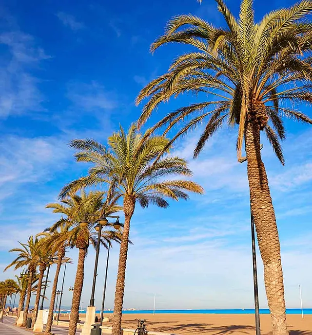 Playa de la Malvarrosa